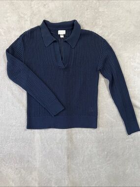 Caslon Navy Ribbed Collared V-Neck Sweater